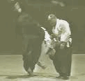 ダイトウりゅう.gif